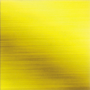 Zenit Asansör - Kaplamalar - H-GD