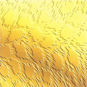 Zenit Asansör - Kaplamalar - ZK-G014