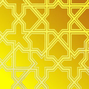 Zenit Asansör - Kaplamalar - YH-GE26