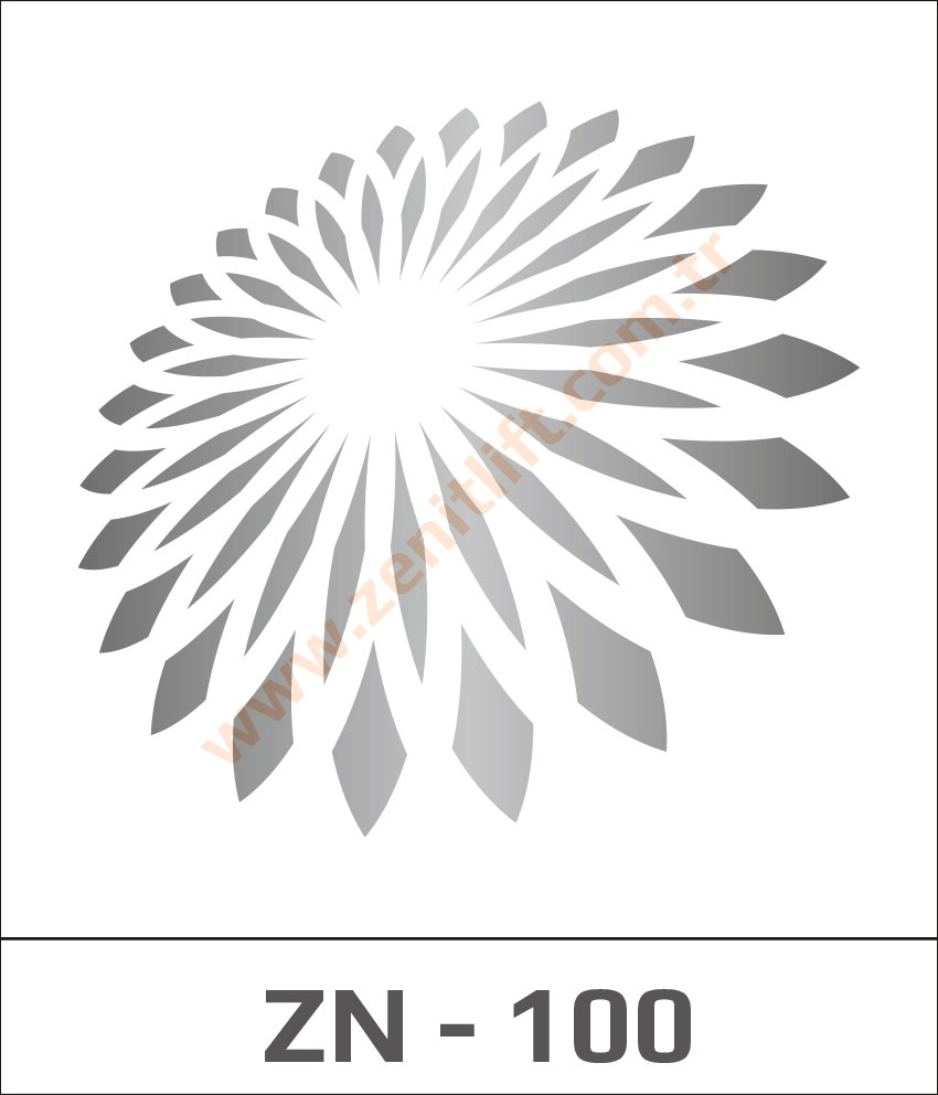 Zenit Asansör - Tavan - 