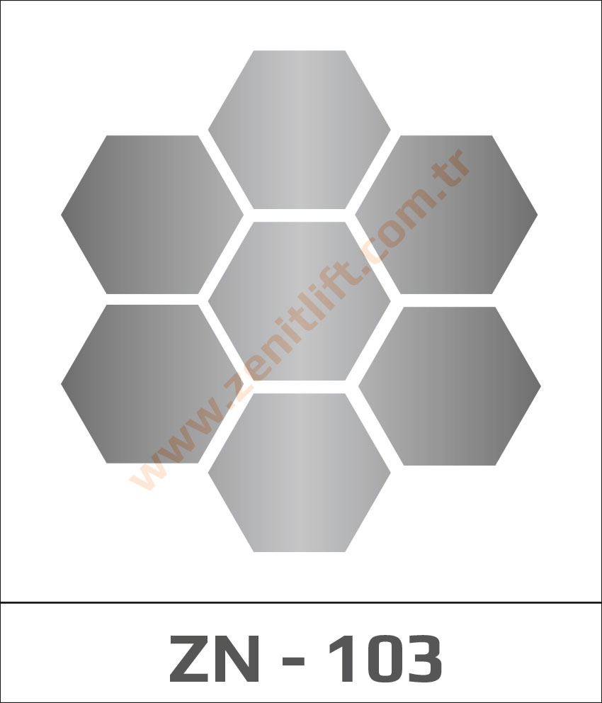 Zenit Asansör - Tavan - 