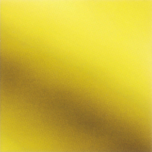 Zenit Asansör - Kaplamalar - M-GD